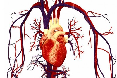 Аплікаційна терапія Ляпко у профілактиці та лікуванні серцево-судинних захворювань
